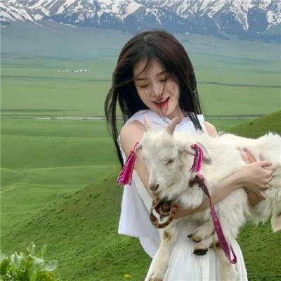 无敌怪物车队第二季